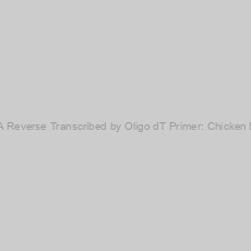 Image of Universal cDNA Reverse Transcribed by Oligo dT Primer: Chicken Normal Tissues